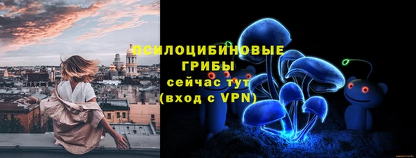 ГАЛЛЮЦИНОГЕННЫЕ ГРИБЫ Балабаново