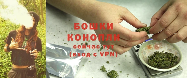 шишки Нягань