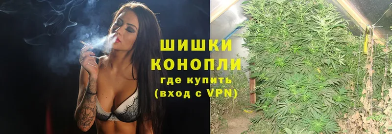 Шишки марихуана THC 21%  купить наркотики цена  kraken онион  Туринск 